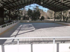 pista de hielo San Martín